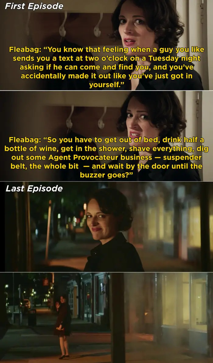1. The TV Show, Fleabag