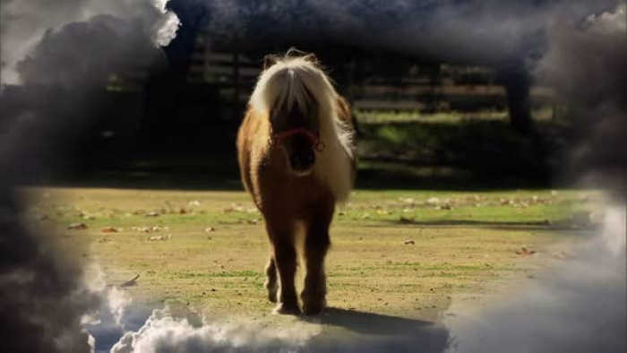 11. Li'l Sebastian in The Good Place