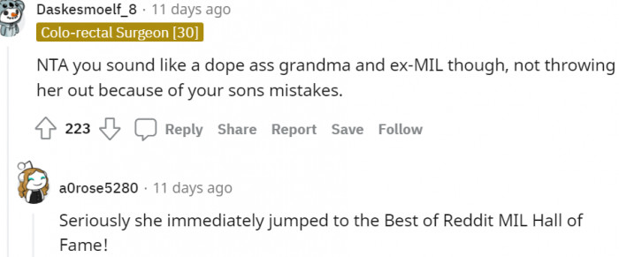 10. The best of Reddit MIL hall of fame