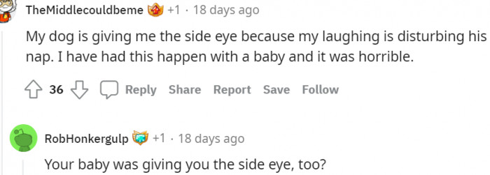 16. Lol... This is hilarious