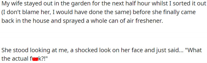 A can of air freshener