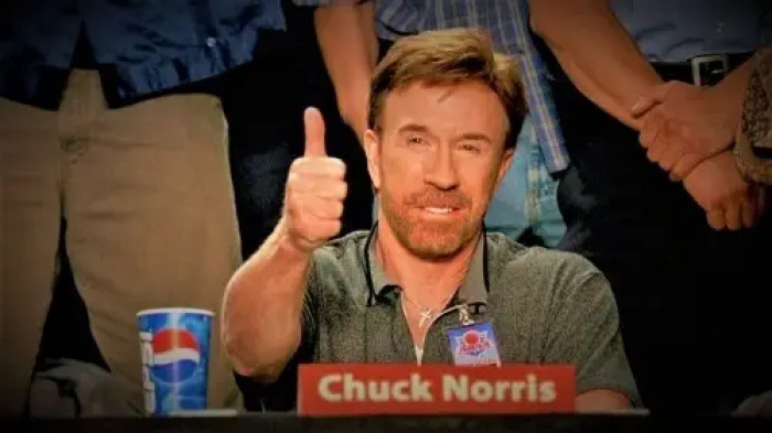 25. Chuck Norris portraying a dodgeball judge character in Dodgeball: A True Underdog Story