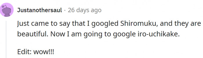 These gowns are beautiful and can’t embarrass anyone. What's more, they can even contribute to the grandeur of the whole event.