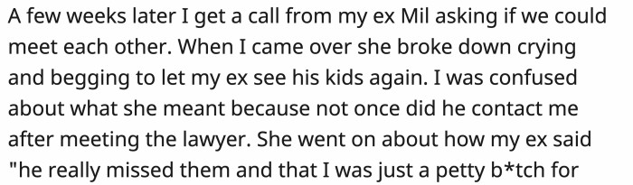 A few weeks later, she met with her mother-in-law, who basically started to beg OP to let her son see the kids while simultaneously accusing her because of how...