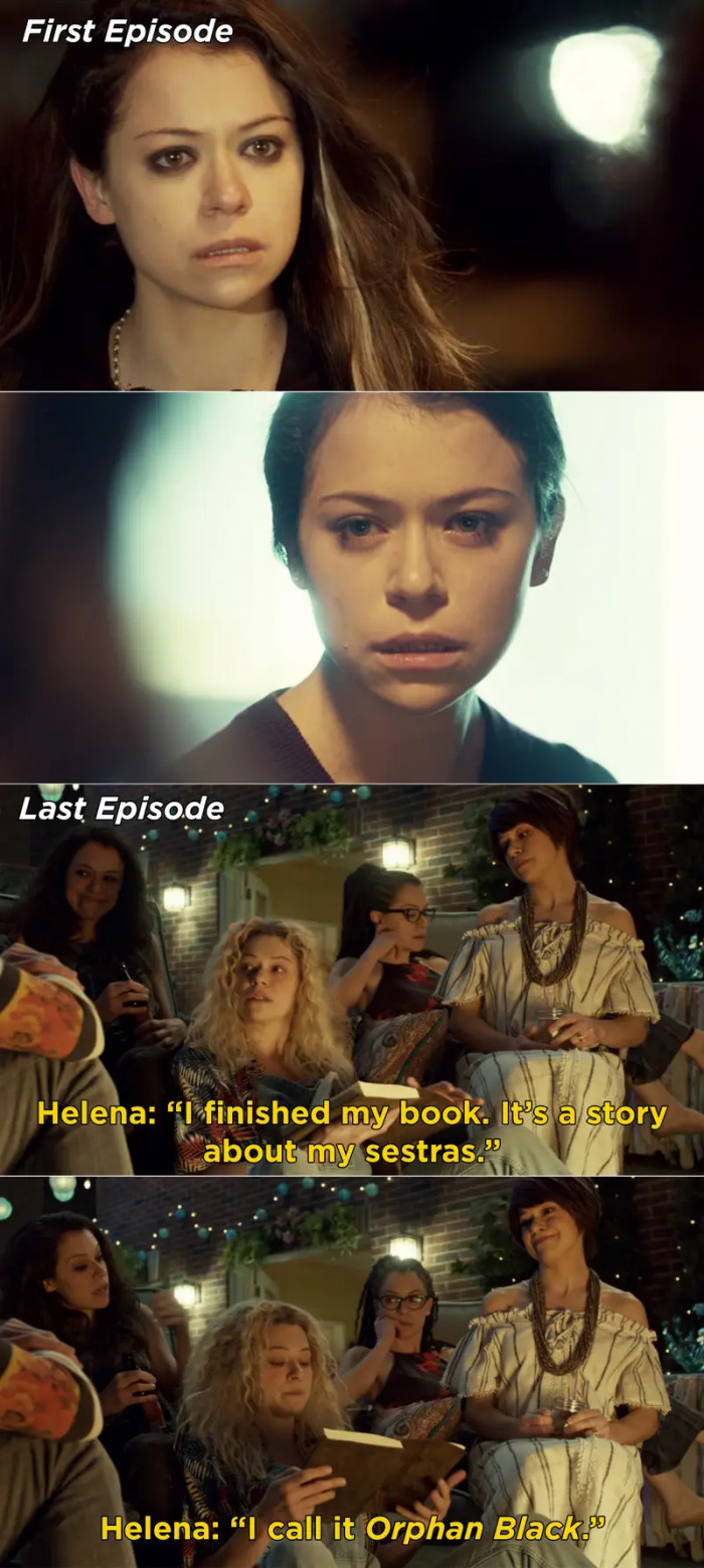22. The TV Show, Orphan Black
