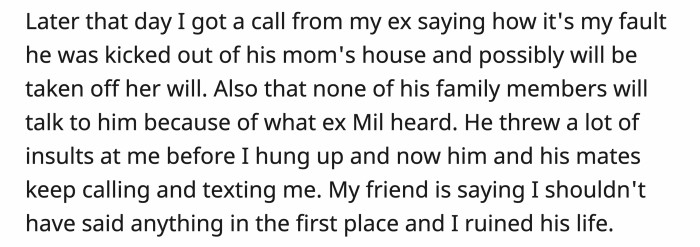 The ex-husband went through being low-key disowned by his mother-in-law and other family members. He blamed it all on OP, and surprisingly, one of OP’s friends also agrees.