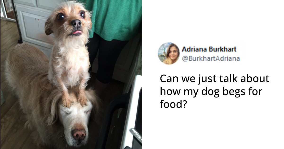 31 Photos That Are Bound To Bring A Smile To Your Face