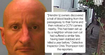 Security Guard From Brighton, UK Was Found Guilty Of Stabbing 16 And Killing Nine Cats
Warning: Animal Cruelty