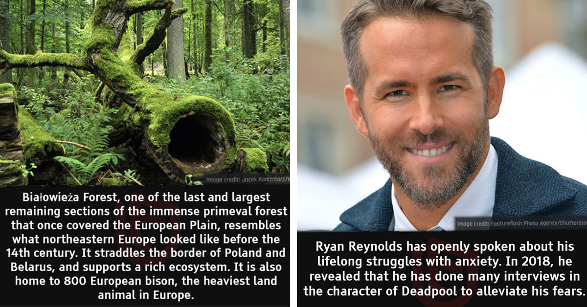 50 Pictures Shared By Unbelievable Facts About Truths That You May Find Difficult to Believe