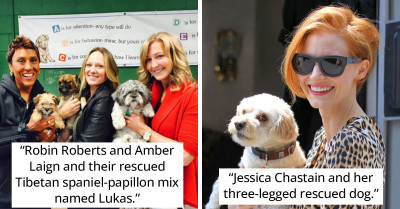 41 Photos Of Celebrities And Their Adopted Pets Will Make You Want To Get One