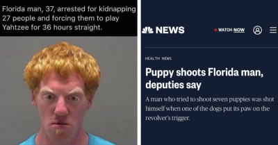 These 50 Crazy and Hilarious Headlines Will Change the Way You Look at the World Around You for the Worse
