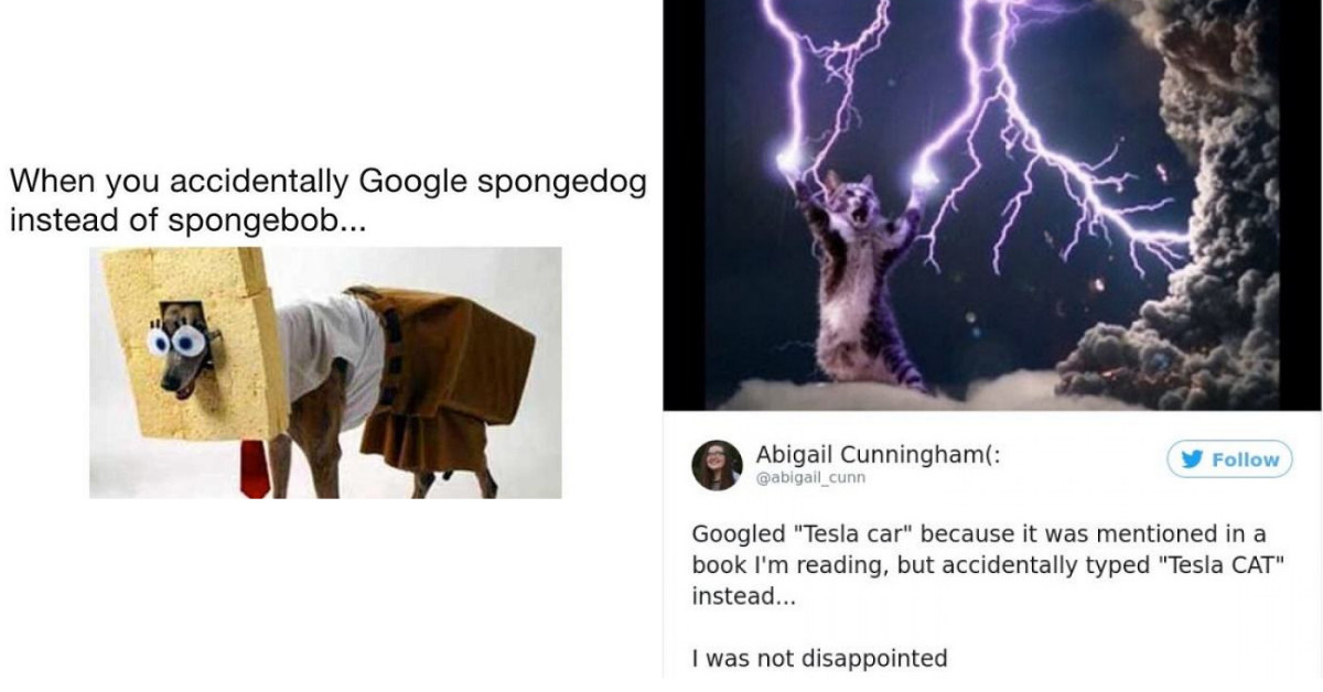40+ Times A Simple Google Search Typo Turned Into The Most Hilarious Accidental Discoveries