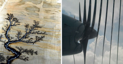 40 Accidental Experiments That Led To People Changing The Way They See The World