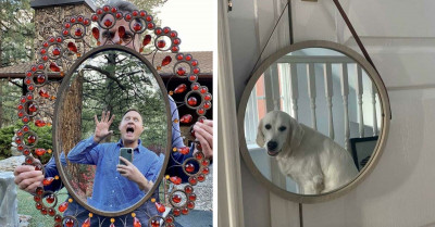 Hilarious Reflections On Mirrors People Were Trying To Sell Online (31 Pictures)