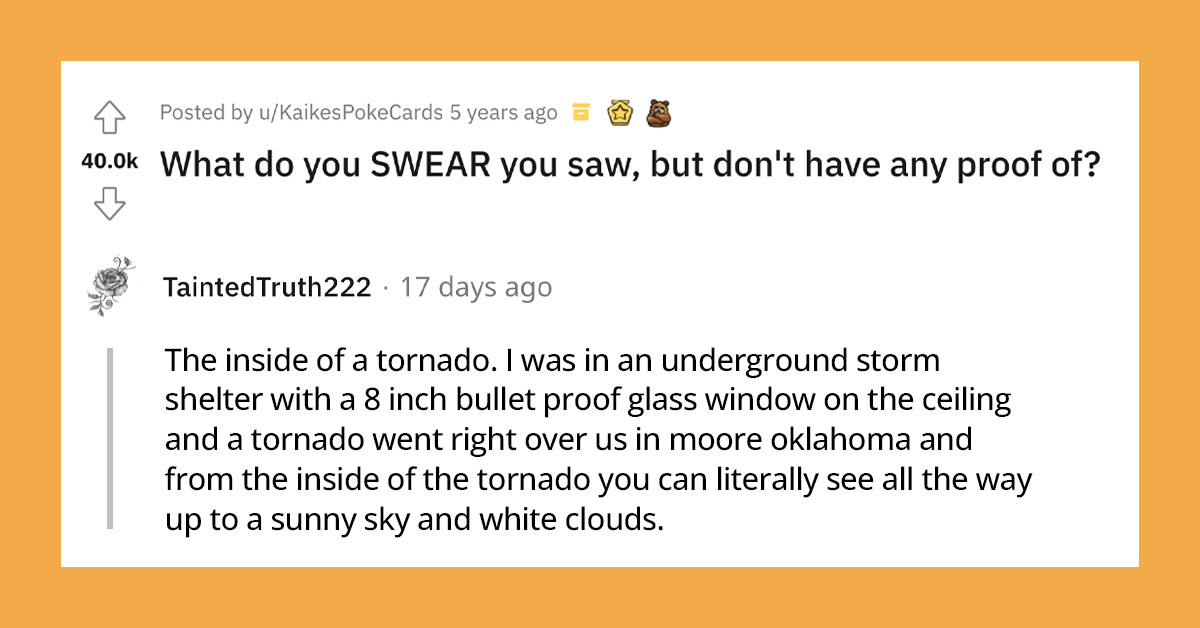 20+ Absurd But Entertaining Replies To Something You Swear You’ve Seen But No One Believes You Because There’s No Proof