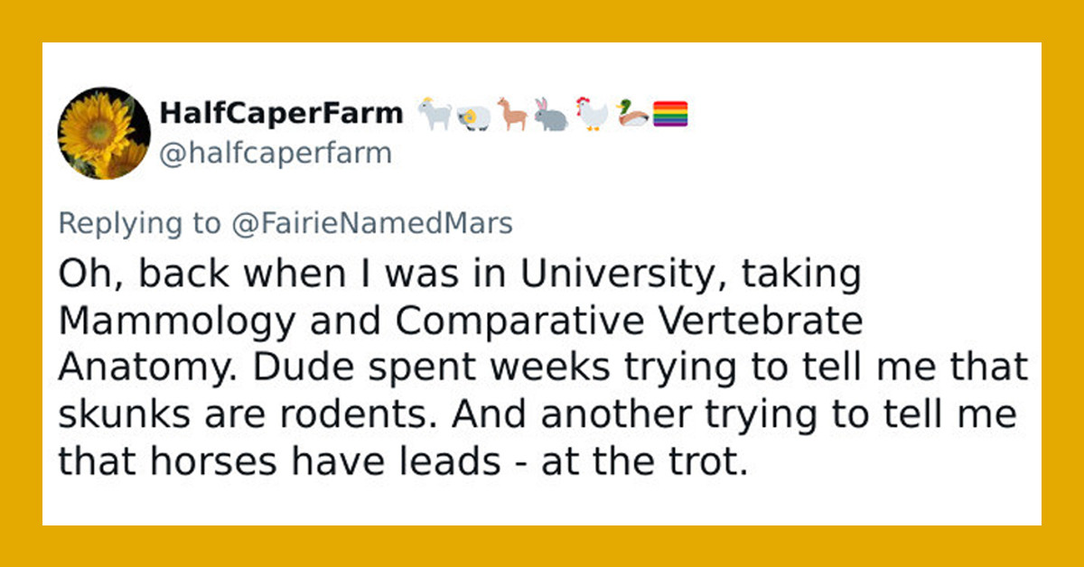 30+ Moments Where Guys Tried To Mansplain But Just Ended Up Embarrassing Themselves