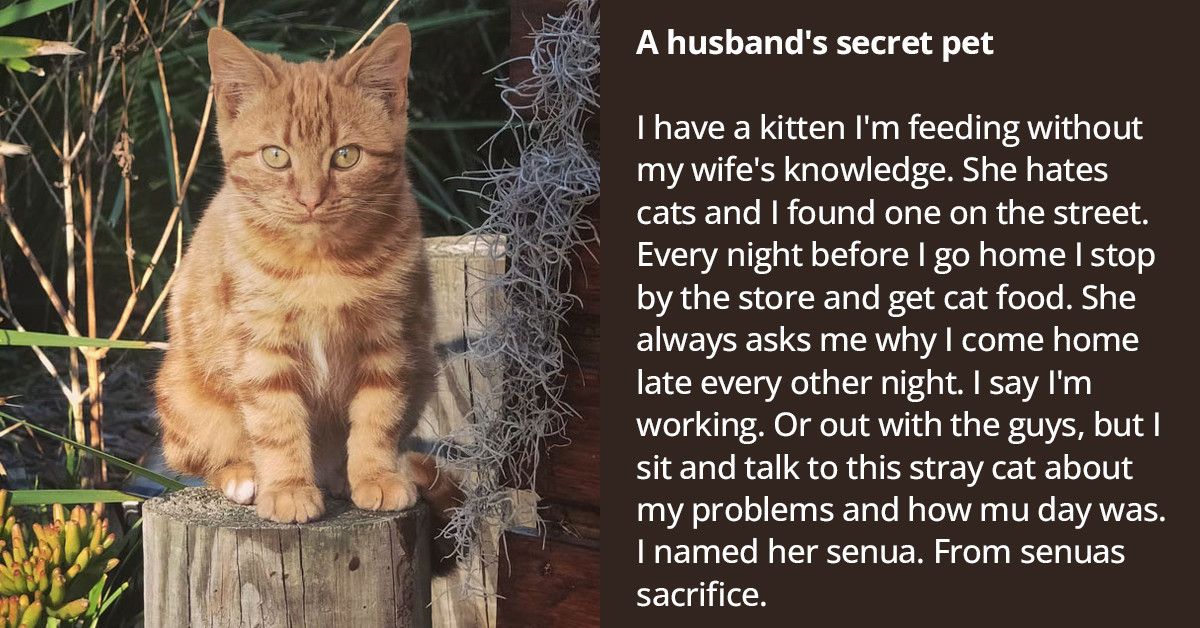 30 People Fess Up, Revealing Their Dirty Little Secrets On Reddit