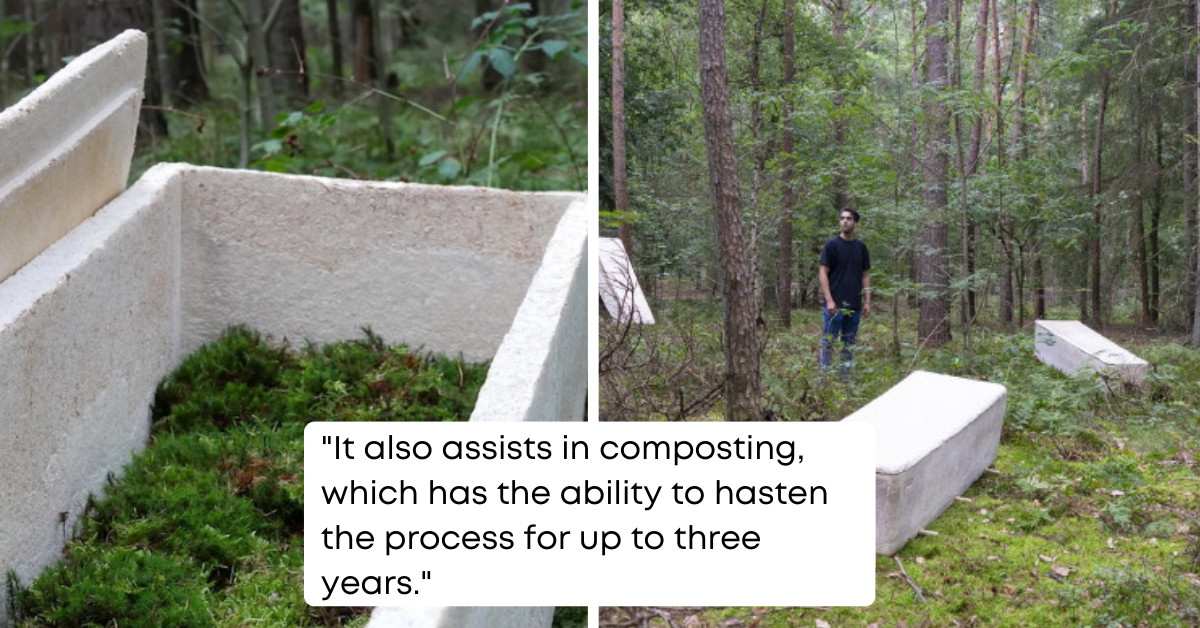 Researcher Advocates People To Become Part Of The Earth Once They Die And Creates A Biodegradable Coffin Made From Mushrooms