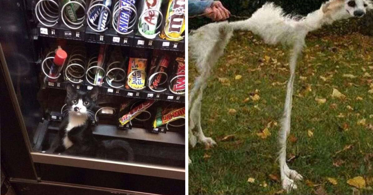 25 Silly And Terrible Mistakes That We Can't Exactly Get Mad About