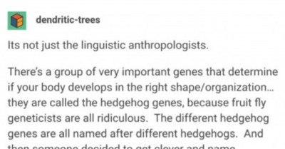 Scientists Think They Can Get Away From Dropping Subtle Puns And This Tumblr Thread Is Pointing Them All Out