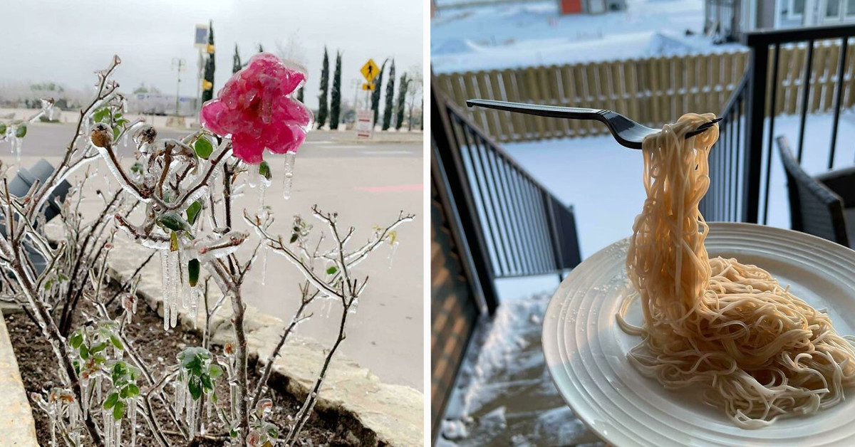 50 Utterly Impressive Photos That Show What Kind Of Power The Cold Of Winter Can Wield