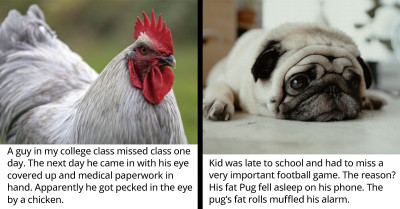 40 Times Teachers Thought Their Students' Late Excuses Were Ridiculous But They Turned Out To Be An Unbelievable Truth