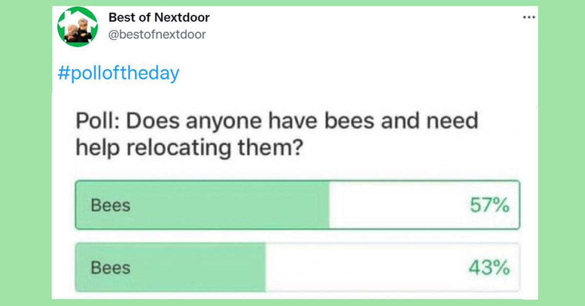 If You Thought Your Neighbors Were Weird, You Should Check Out The Ones On "Nextdoor" App Being Shared Online