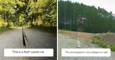 50 Times People Shared Examples of "Accidental Camouflage" And They Are Really Mind-Boggling