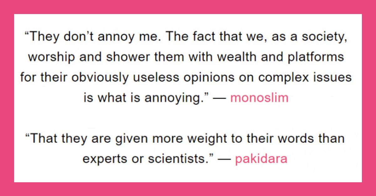 15 People Share Things That Annoy Them About Celebrities