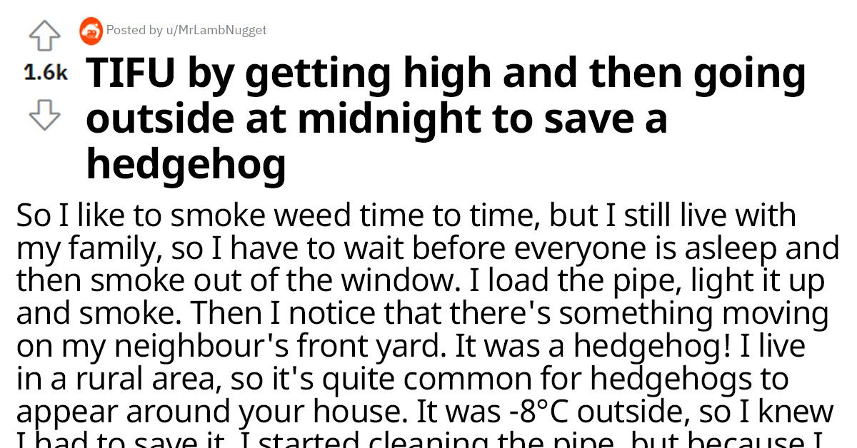 A Redditor Got High And Went On A Mission To Save A Hedgehog In The Middle Of The Night