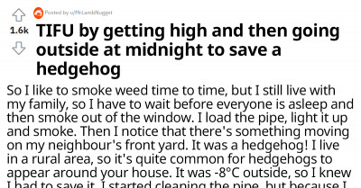 A Redditor Got High And Went On A Mission To Save A Hedgehog In The Middle Of The Night