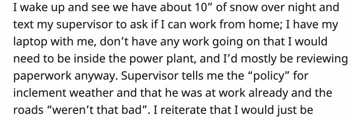 OP texted his supervisor and asked if he could work from home after seeing the amount of snow that had accumulated on the roads.
