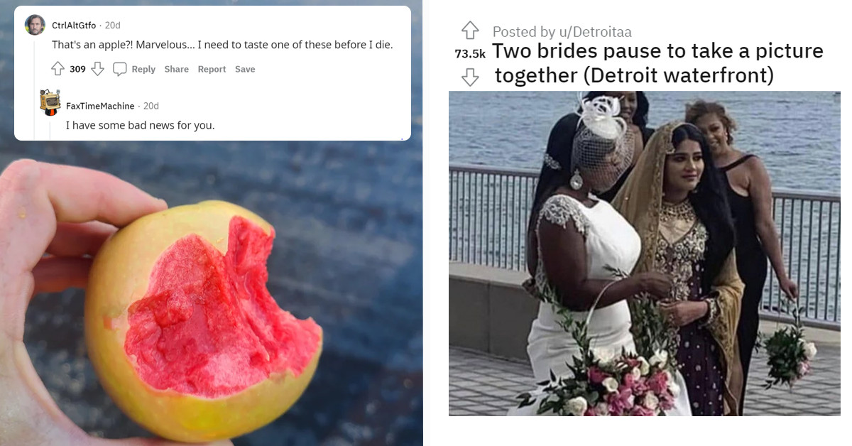 16 Times People Got More Than What They Asked For But Absolutely Loved It Anyway