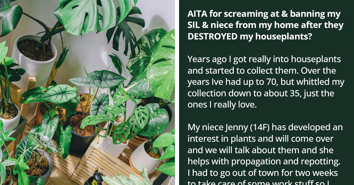Woman Bans Sister-In-Law and Niece From Her Home After They Destroyed Her Houseplants