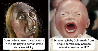 30 Of The Weirdest But Most Interesting Things You Don't See Everyday