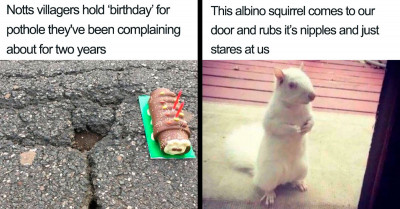 50 Chaotic Neutral Pictures Of People Who Hilariously Do What They Want And Are Neither Good Nor Bad