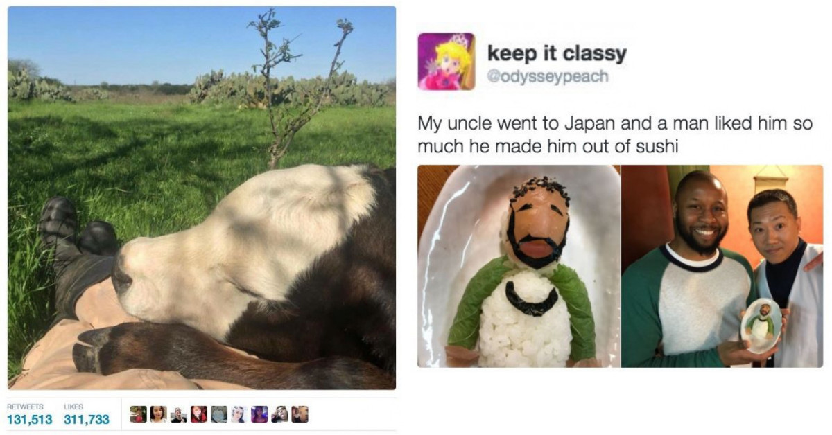 31 Cute Memes That Should Brighten Up Your Day