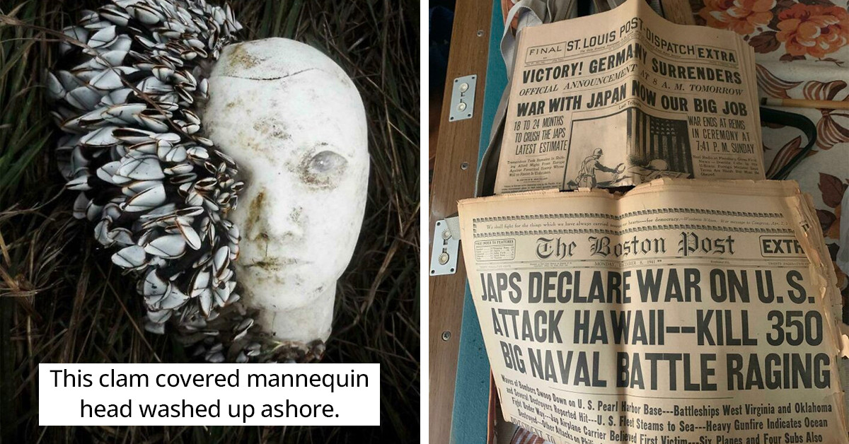 50 Pictures Of Unexpected Things That People Found And Had To Share, And They’re Quite Interesting