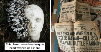 50 Pictures Of Unexpected Things That People Found And Had To Share, And They’re Quite Interesting