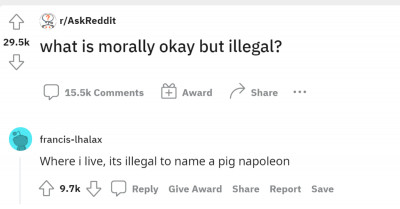 These People Are Sharing Things That Are Morally Okay But Are Actually Illegal