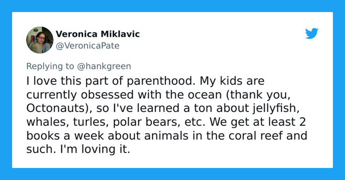 30 People Share The Strangest Things Their Kids Are Obsessed With
