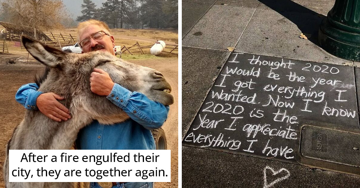 These 50 Pics Will Boost Up Your Mood Instantly On Those Down Days