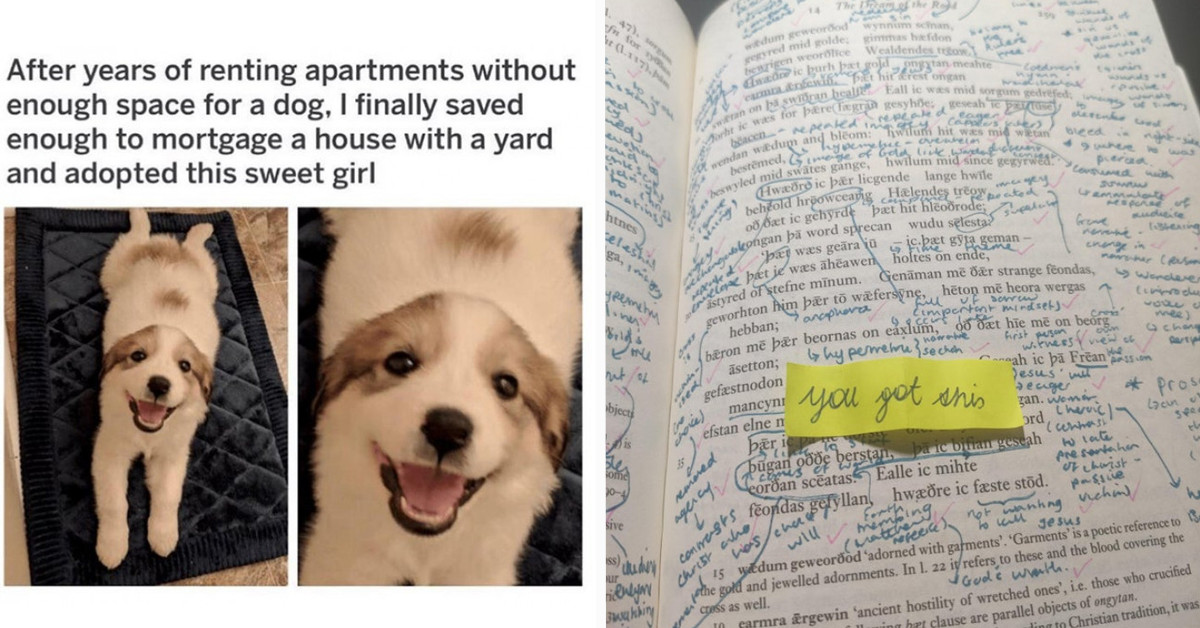 20+ Posts From People Who Have Experienced The Most Wonderful, Wholesome Moments From Both Family And Strangers