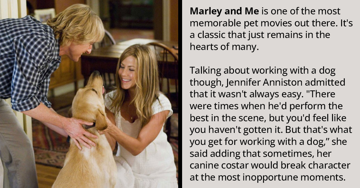 8 Stars Reveal What It's Like Working With Pets On Set