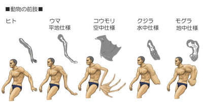 Japanese Artist Illustrates 14 Drawings Of Humans With Animal-Like Bone Structure