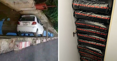 50 Times That There Was A "Perfect Fit" And It Created Aesthetically Pleasing Photos