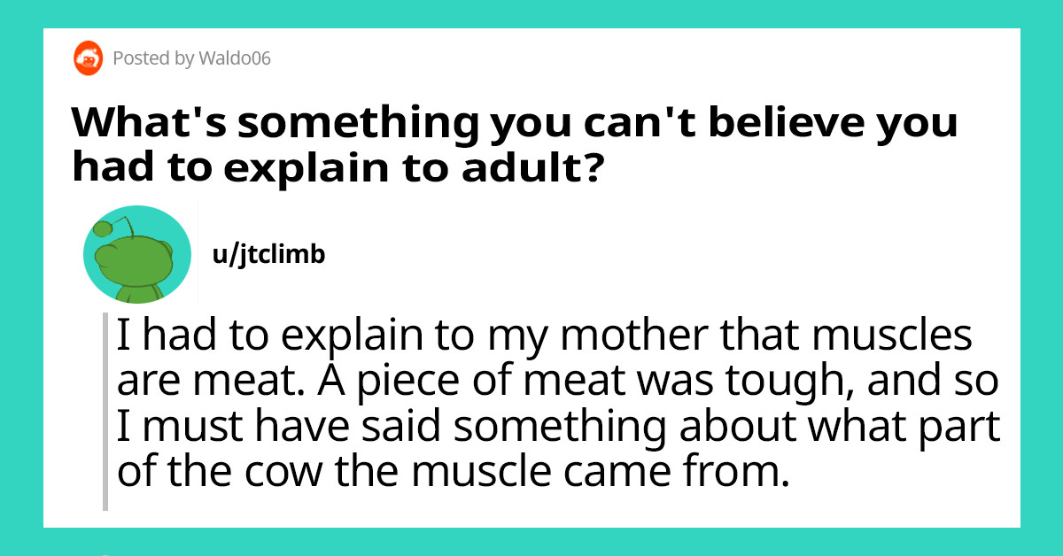 People Share Things That They Had To Explain To Other Adults That They Just Shouldn't Have Had To Explain