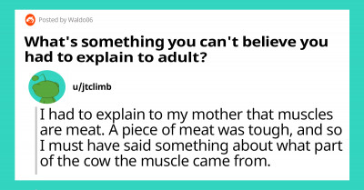 People Share Things That They Had To Explain To Other Adults That They Just Shouldn't Have Had To Explain