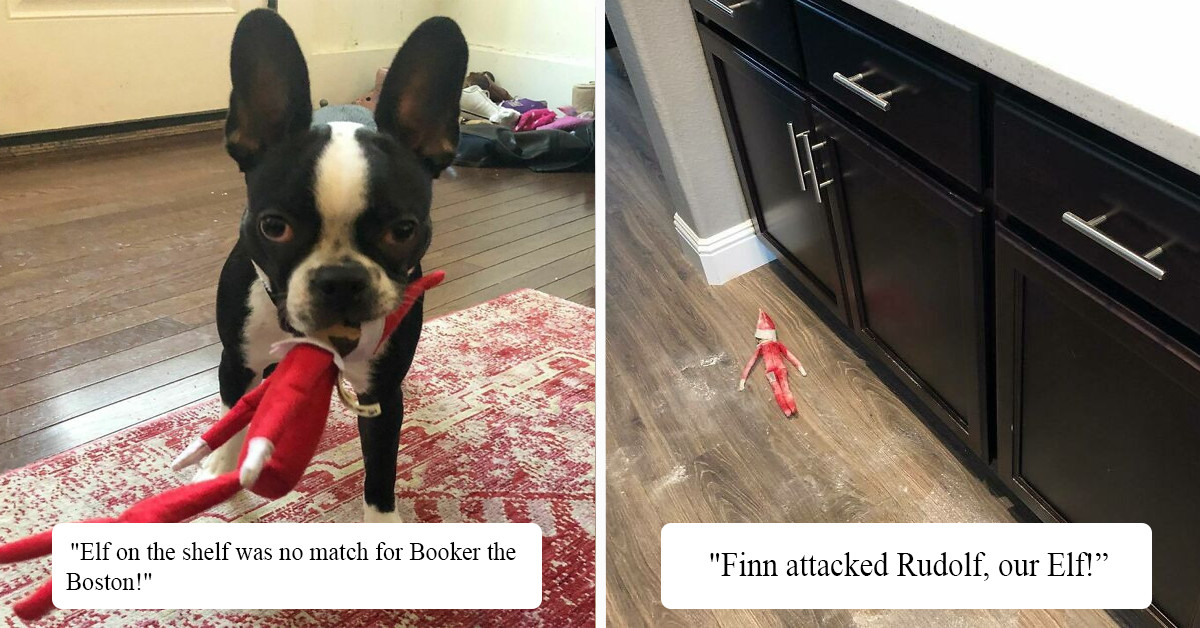 40 Of The Funniest Elf On The Shelf Epic Fails