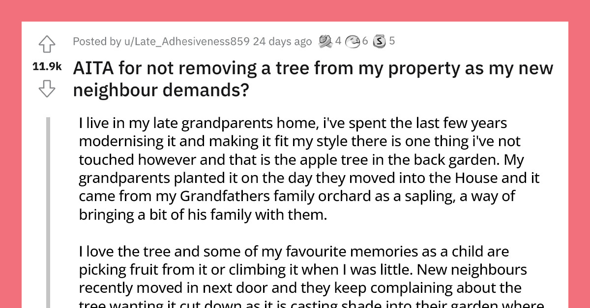Homeowner Refuses to Remove a Tree with Sentimental Value After Their New Neighbor Demands It Be Cut Down Because It Casts Shade on Their Yard